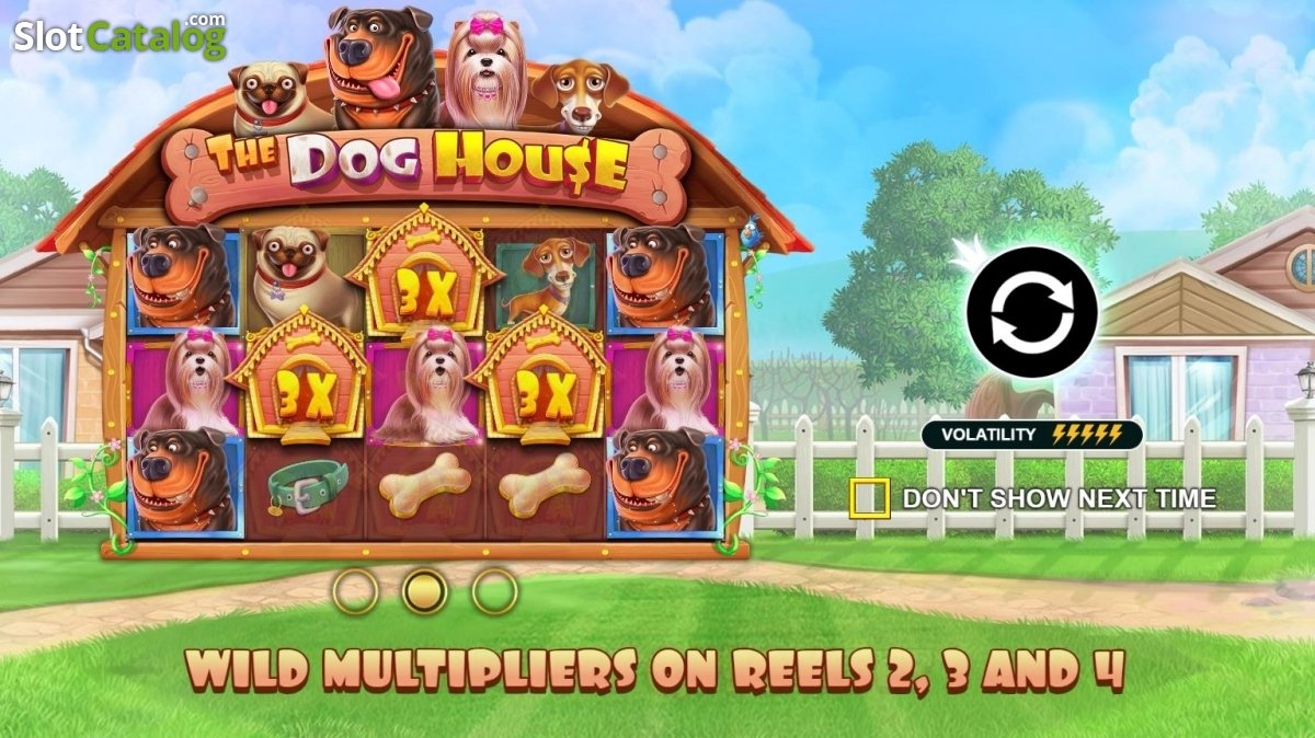 The Dog House